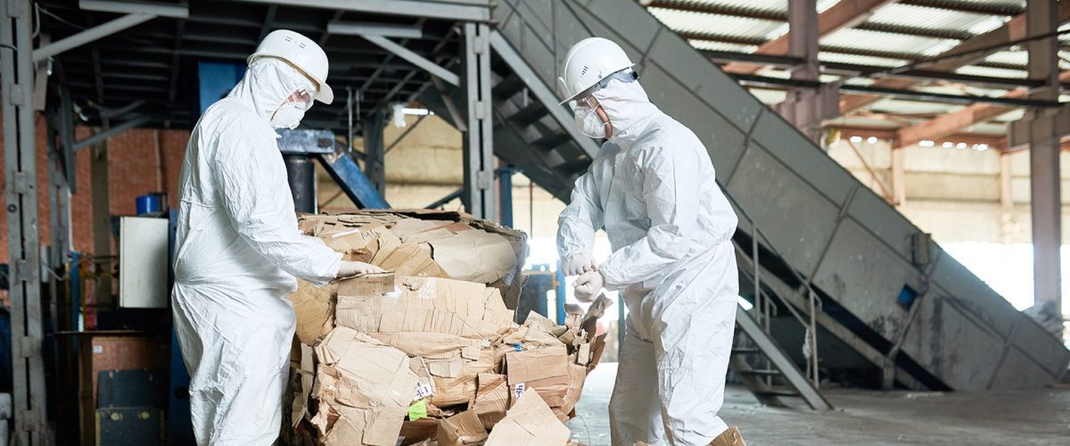 Portrait of two factory workers wearing biohazard suits sorting reusable cardboard on recycling plant, copy space